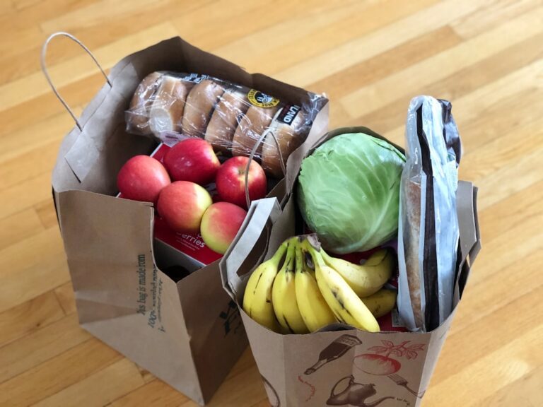 Imagen ilustrativa de bolsas con alimentos saludables; no muestra una oficina WIC. Foto: Maria Lin Kim / Unsplash.