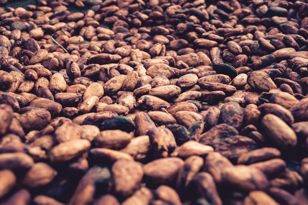 Imagen ilustrativa de semillas de cacao; no muestra el festival reportado. Foto: Héctor Emilio Gonzalez / Unsplash.