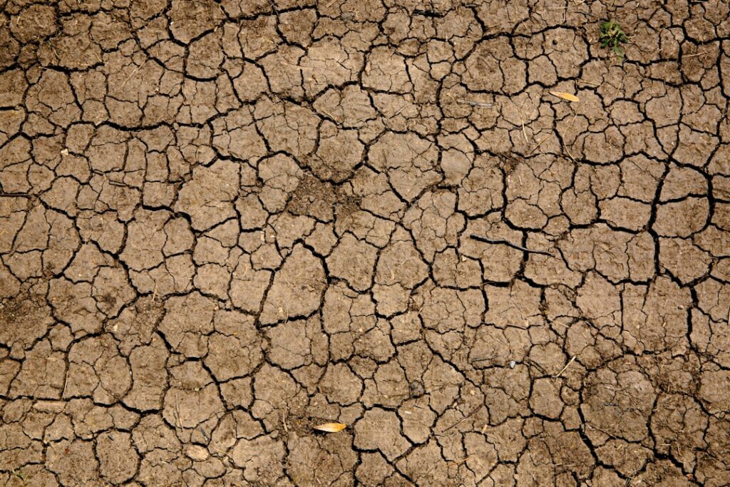 Imagen ilustrativa de suelo seco y agrietado; no corresponde a un lugar específico de Puerto Rico. Foto: Mike Erskine / Unsplash.