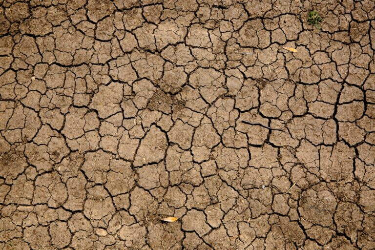 Imagen ilustrativa de suelo seco y agrietado; no corresponde a un lugar específico de Puerto Rico. Foto: Mike Erskine / Unsplash.